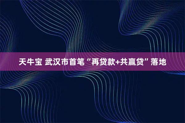 天牛宝 武汉市首笔“再贷款+共赢贷”落地