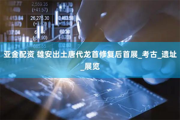 亚金配资 雄安出土唐代龙首修复后首展_考古_遗址_展览